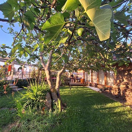 Pilgrims Rest - Vila Nova De Cerveira - Hostel - Albergue - Al מראה חיצוני תמונה