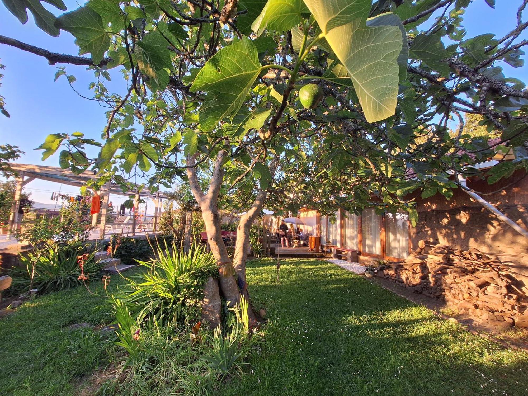 Pilgrims Rest - Vila Nova De Cerveira - Hostel - Albergue - Al מראה חיצוני תמונה